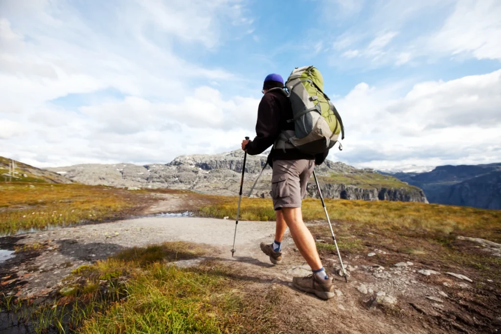 Best Things to Do in Lofoten